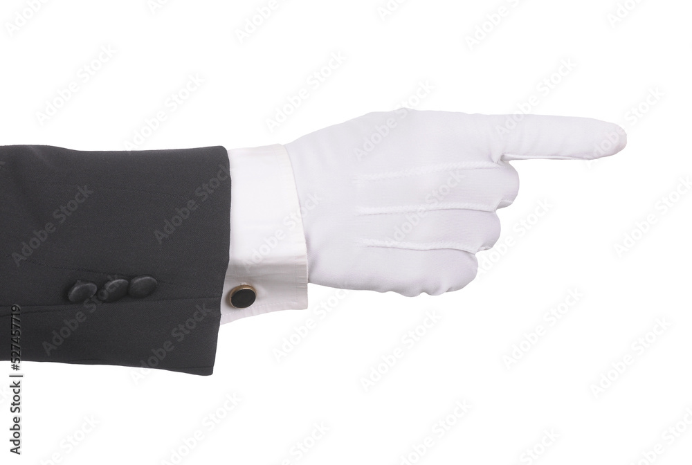 Butler's gloved hand pointing Hand and arm only in horizontal format. Can be rotated to be pointing in any direction over transparent background