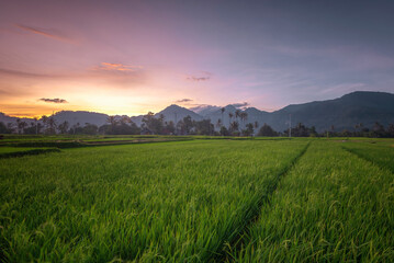 Wall Mural - Wonderful Panorama Photos at Indonesia