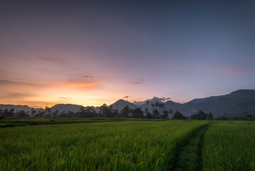 Wall Mural - Wonderful Panorama Photos at Indonesia