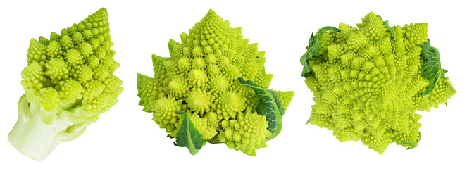 Romanesco broccoli cabbage or Roman Cauliflower isolated on white background. Set or collection