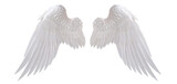 Fototapeta Łazienka - white angel wing isolated for design