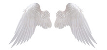 White Angel Wing Isolated For Design