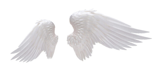 white angel wing isolated for design