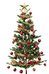 christmas tree isolate for design