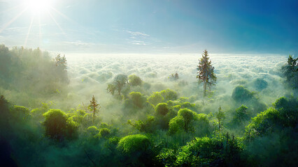 Wall Mural - Aerial view of trees in foggy forest with blue sky and sunlight