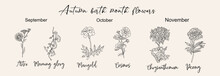 Set Of Autumn Birth Month Flower Line Art Vector Illustrations - Aster, Morning Glory, Marigold, Chrysanthemum, Peony, Cosmos. Black Ink Sketch For Wall Art, Jewelry, Tattoo, Logo, Packaging Design.