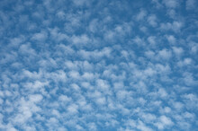 Mackerel Sky Or A Buttermilk Sky With Small Clouds Like Fish Shells, Denmark, August 24, 2022