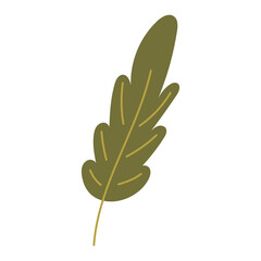 Wall Mural - oak leaf in doodle style isolated vector
