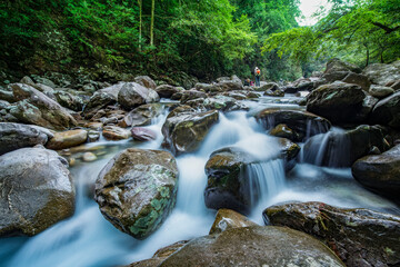 Wall Mural - Stream in the forest, Jing'an, China