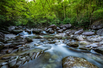 Wall Mural - Stream in the forest, Jing'an, China