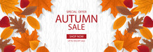 Autumn Calligraphy. Seasonal Lettering.web Banner Template.vector Illustration