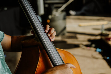 Wall Mural - Close up musician playing double bass