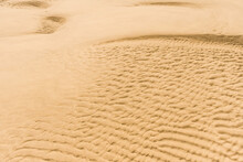 Ripple Sand Dunes Desert Background. Ocean Floor Seabed At Low Tide In Australia