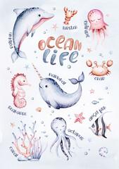 Canvas Print - Set of sea animals. Blue watercolor ocean fish, turtle, whale and coral. Shell aquarium mermaid background. Nautical dolphin marine illustration, jellyfish, starfish