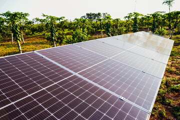 the solar panels for solar energy in a rural property in mato grosso do sul. solar energy has become