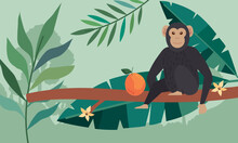 Chimpanzee Monkey In Branch