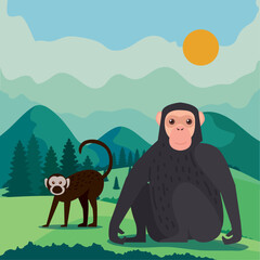 Wall Mural - bonobo and macaque monkeys