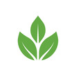 Flat leaves icons. Leaf vector illustration. Green leaf ecology nature element vector icon, Leaf Icon, green leaf ecology nature element vector