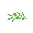 Olive logo icon illustration. Olive icon vector. olive branch flat sign. olive solid pictogram. olive logo illustration. Vector illustration