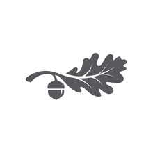 Oak Leaf With Acorns Icon. Oak Leaf Logo Design Template. Oak Leaf With Acorns Graphic Vector. Vector Illustration