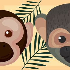 Poster - macaque and titi monkeys heads