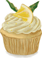 Lemon And Vanilla Icing Cream Cupcake Hand Drawn Watercolor Illustration