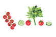Watercolor drawing: a bunch of parsley, cherry tomatoes and cucumbers isolated on a white background for kitchen design, books, textiles, office and packaging.
