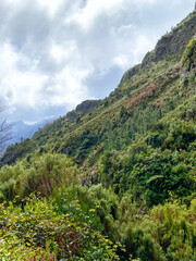 Wall Mural - beautiful Madeira landscape