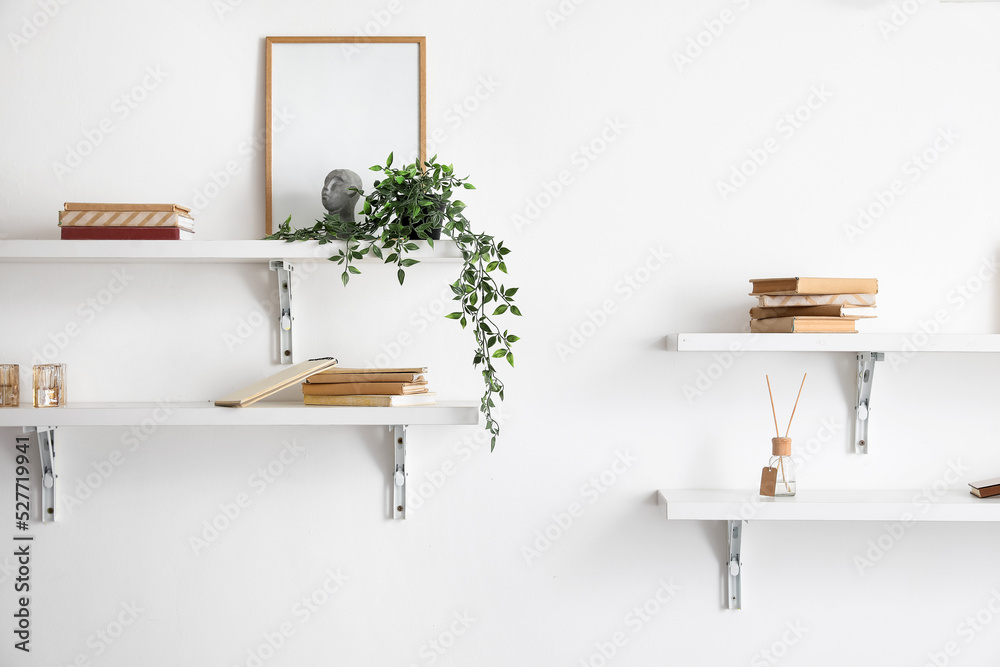 Shelves with books, frame and houseplant hanging on light wall