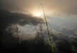 fishing rod spinning outdoor fishing