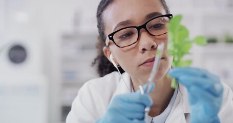 Wall Mural - plant scientist studying ecology in lab, doing science research on ecology and listening to music in