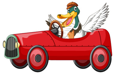 Wall Mural - soapbox derby with duck driving car