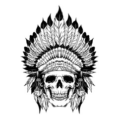 American Indian skull Vector image