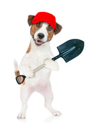 Poster - Jack russell terrier puppy farmer wearing red cap holds shovel. isolated on white background