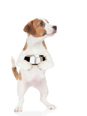 Poster - Hungry jack russell terrier puppy holds empty bowl and looks away on empty space. isolated on white background