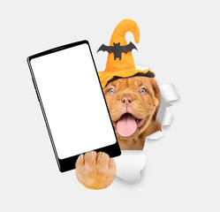 Poster - Happy mastiff puppy wearing  hat for halloween holds big smartphone with white blank screen in it paw, showing close to camera through torn white paper hole. Empty free space for mock up, banner