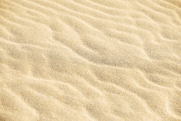  Sand on the beach as a background. Close-up sand texture. Summer sunlight. Top view.