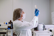 Woman Working With Petri Dishes In The Lab