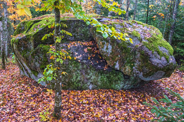 Canvas Print - Erratic block in a woodland at autumn