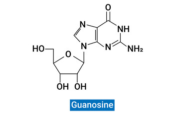 Wall Mural - Guanosine is a purine nucleoside formed from a beta-N9-glycosidic bond between guanine and a ribose ring and is essential for metabolism.