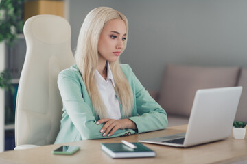 Sticker - Photo of intelligent concentrated person sitting chair look watch video wireless netbook modern office indoors