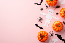 Halloween Concept. Top View Photo Of Skeleton Bones Bat Silhouettes Pumpkins Spiders Cockroach And Centipedes On Isolated Pastel Pink Background With Copyspace