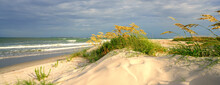 Sea Oats Grass By The Ocean At Sunset. Sand Dunes On The Beach On The Cloudy Day. Fort Macon State Park. Bogue Banks. North Carolina.USA. Image For Banner Or Web Header.