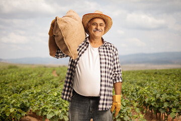 Wall Mural - Mature farmer carrying a big burlap sack on his shoulder and standing on a grapevine nursery