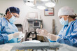 © ADDICTIVE STOCK - Veterinarians in uniform operating animal