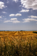 View Of Harvested Cereal Fields Over The English Channel Near Seaford In Summer.