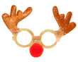 Christmas reindeer glasses fancy dress