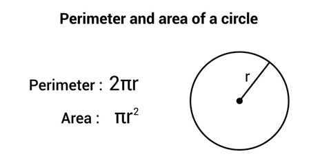 Wall Mural - Perimeter and area of a circle