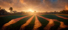 Sunset Field,sunset Corn Field, Sunset Trees, Sunset Path, Sunset Baseball Field, Sunset Grass Digital Art Illustration Painting Hyper Realistic