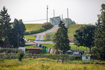 Wall Mural - An Amish home yard containing a garden, sheds, a suspended clothesline with laundry, and some pine trees in the countryside of Holmes County, Ohio